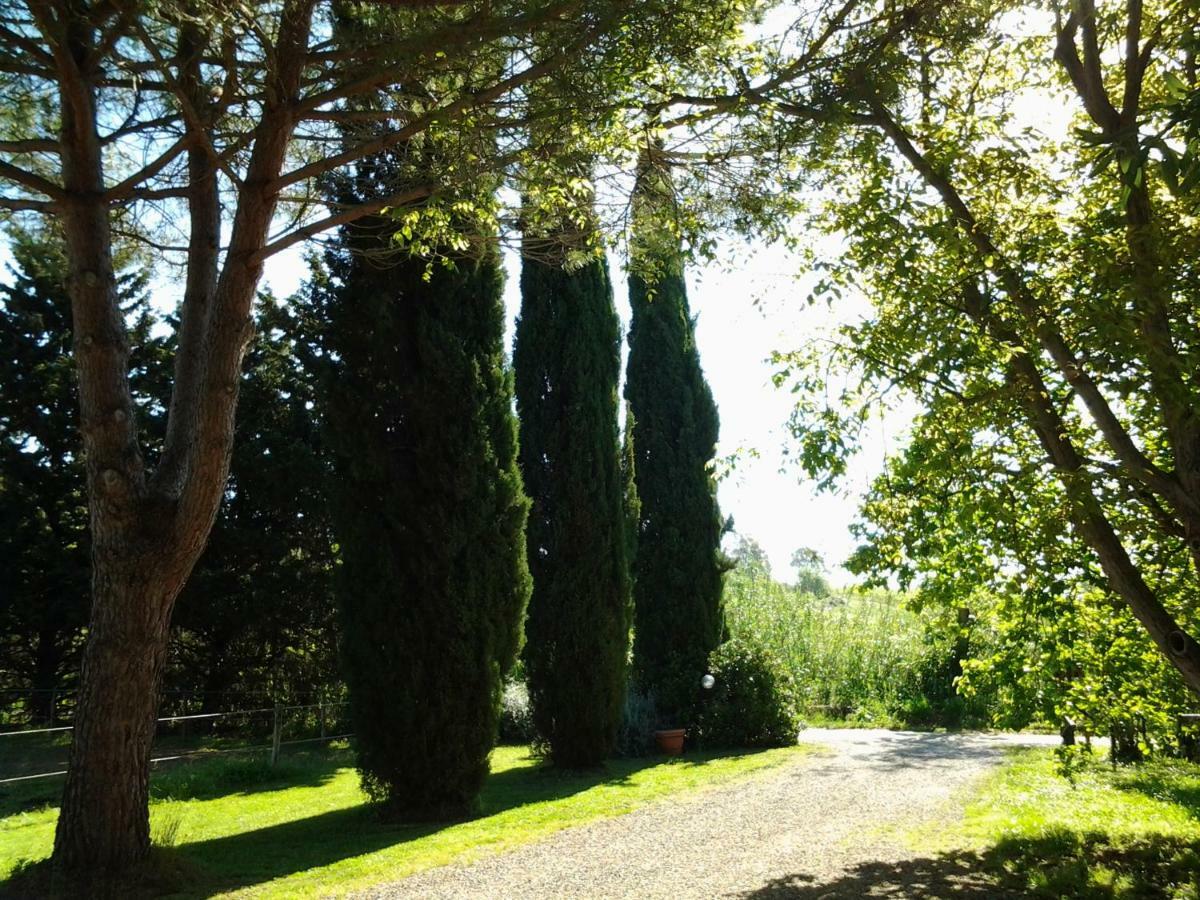 Agriturismo Piana Arborello Magliano in Toscana Ngoại thất bức ảnh