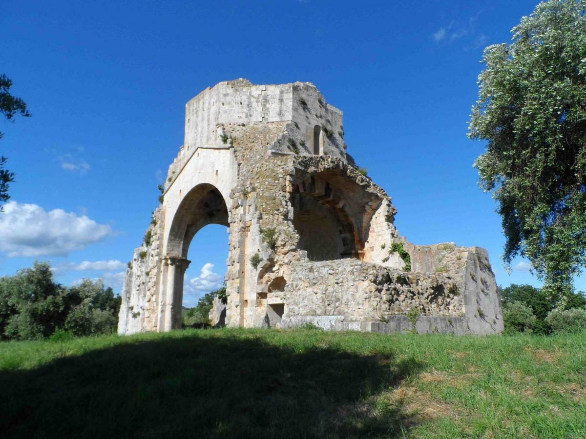 Agriturismo Piana Arborello Magliano in Toscana Ngoại thất bức ảnh