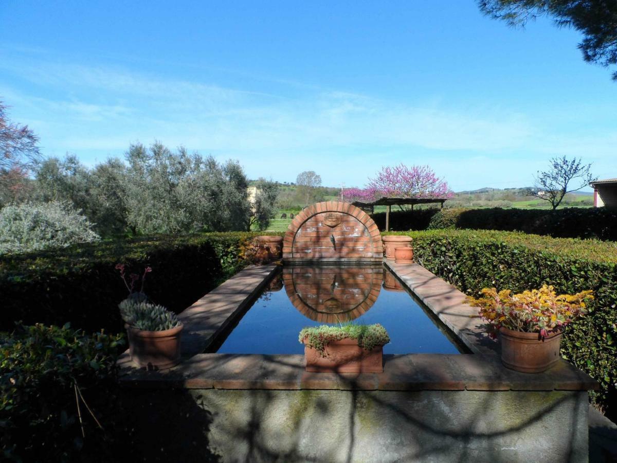 Agriturismo Piana Arborello Magliano in Toscana Ngoại thất bức ảnh