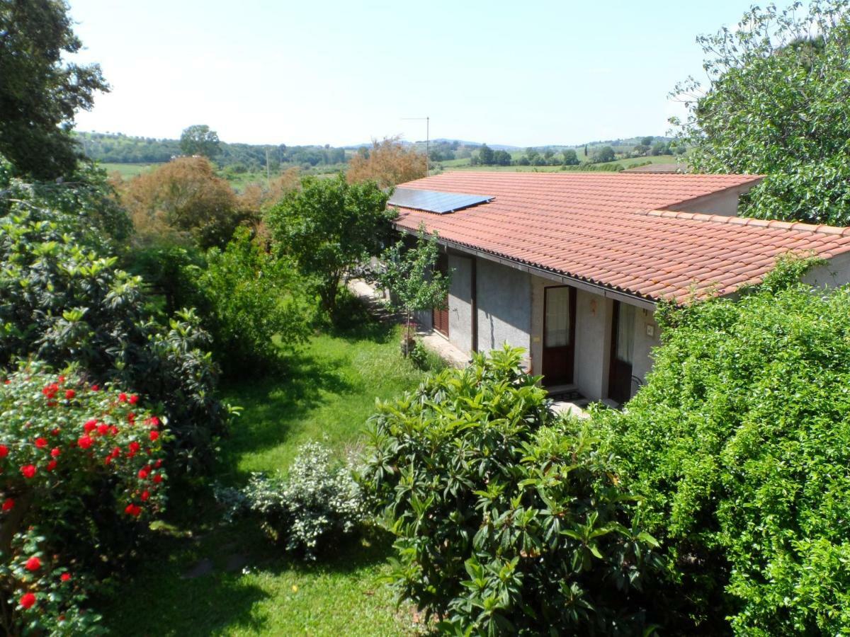 Agriturismo Piana Arborello Magliano in Toscana Ngoại thất bức ảnh