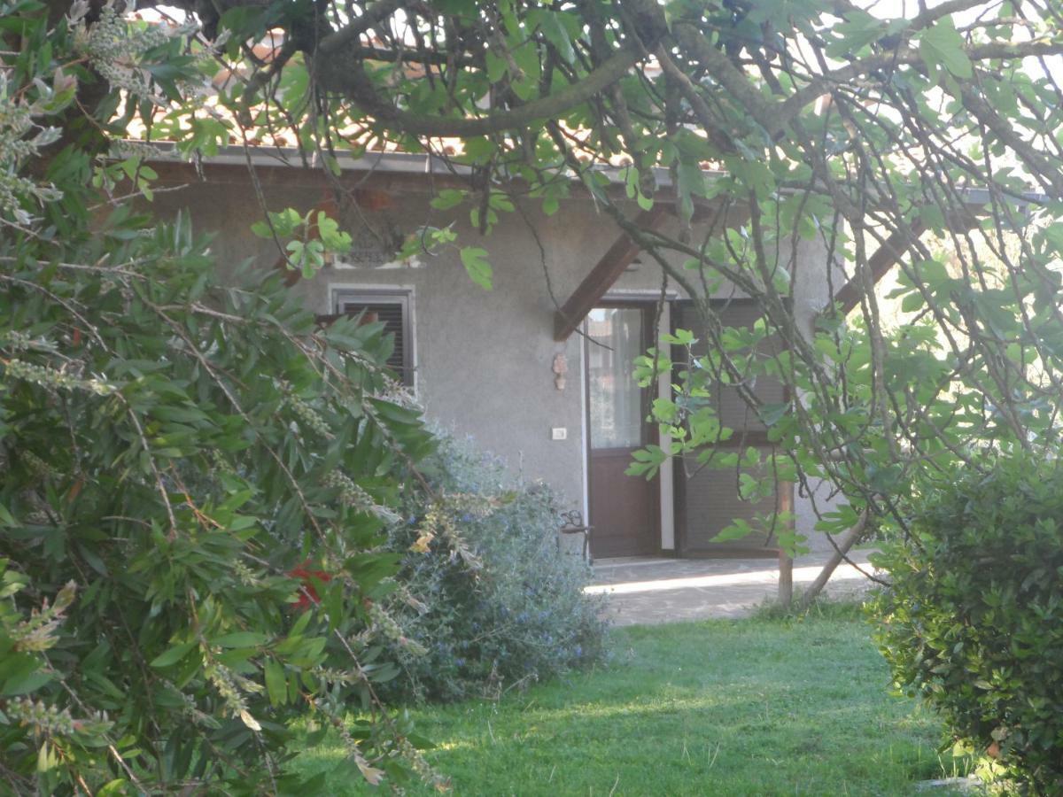 Agriturismo Piana Arborello Magliano in Toscana Ngoại thất bức ảnh
