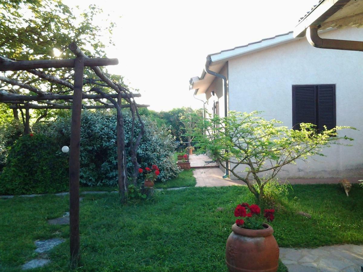 Agriturismo Piana Arborello Magliano in Toscana Ngoại thất bức ảnh