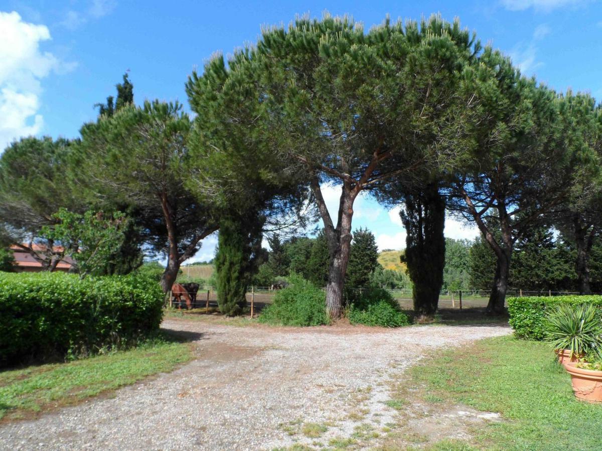 Agriturismo Piana Arborello Magliano in Toscana Ngoại thất bức ảnh