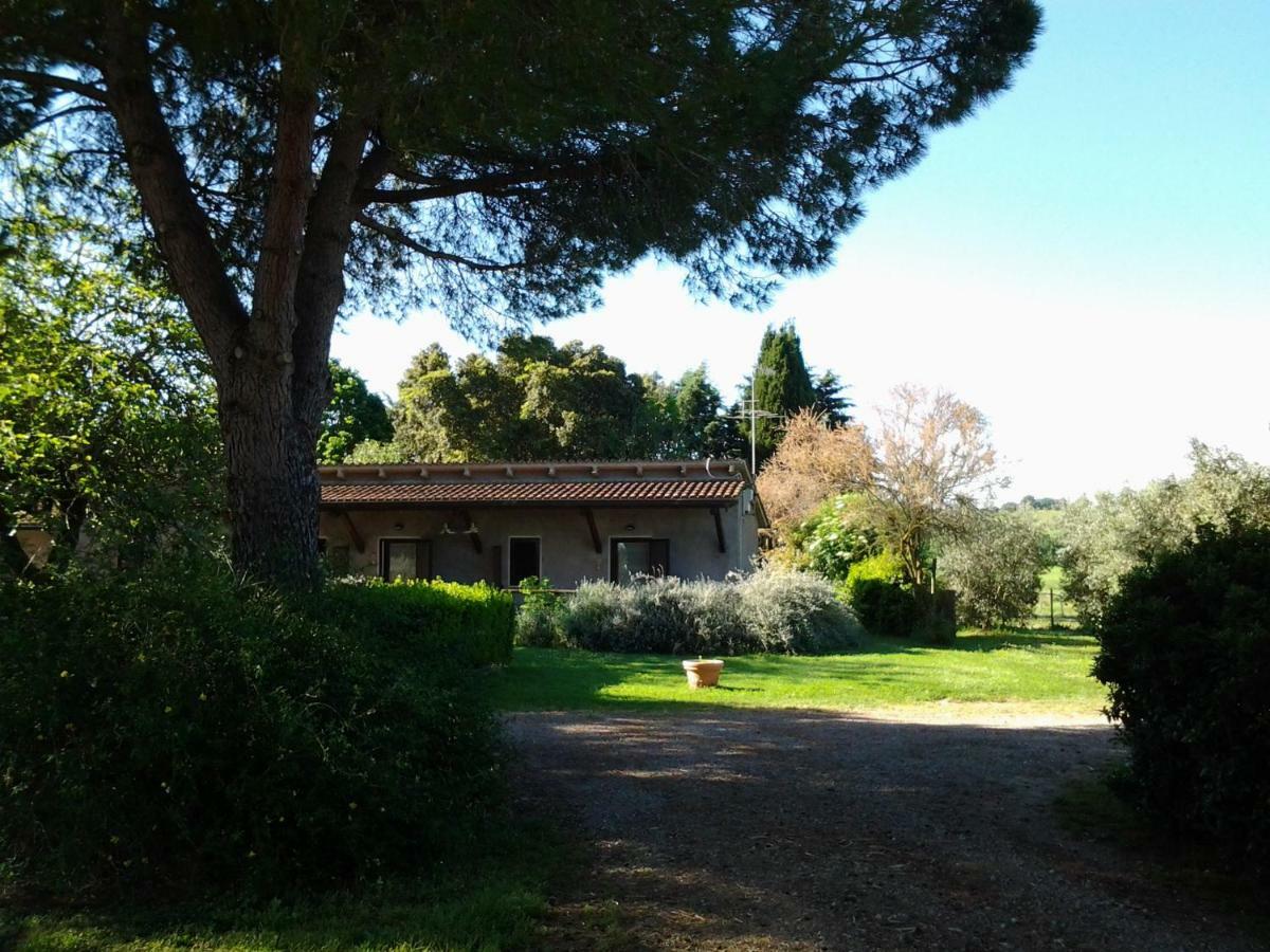 Agriturismo Piana Arborello Magliano in Toscana Ngoại thất bức ảnh
