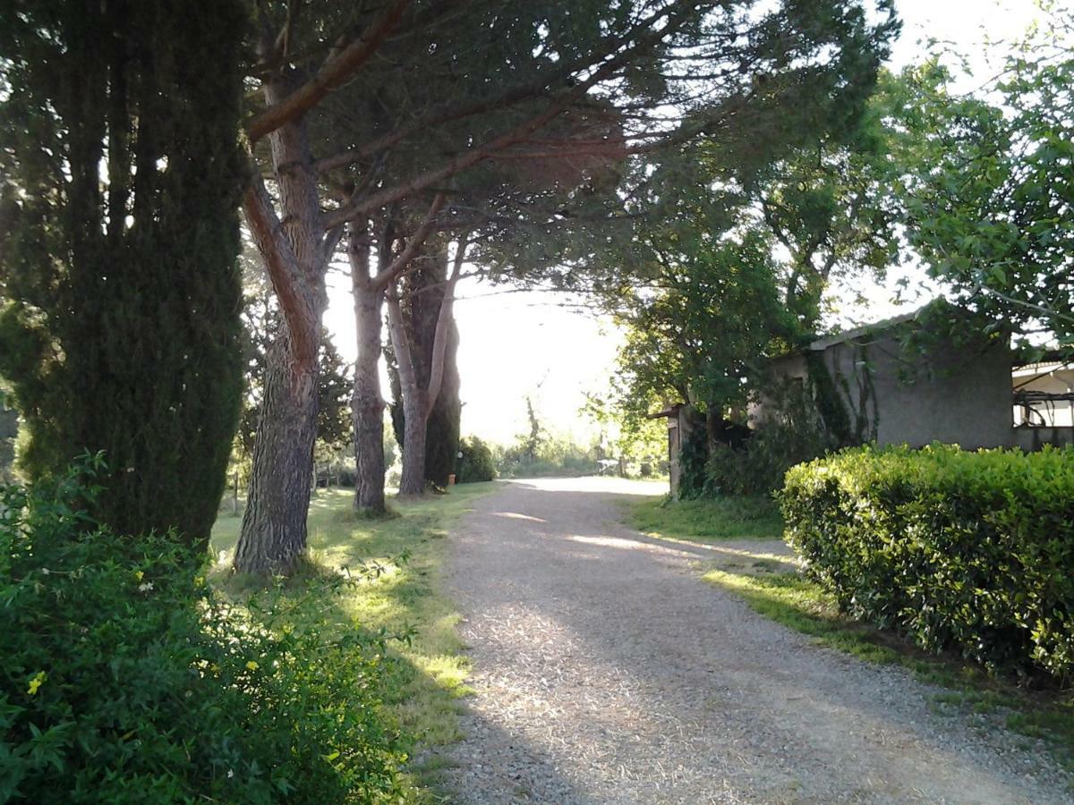 Agriturismo Piana Arborello Magliano in Toscana Ngoại thất bức ảnh