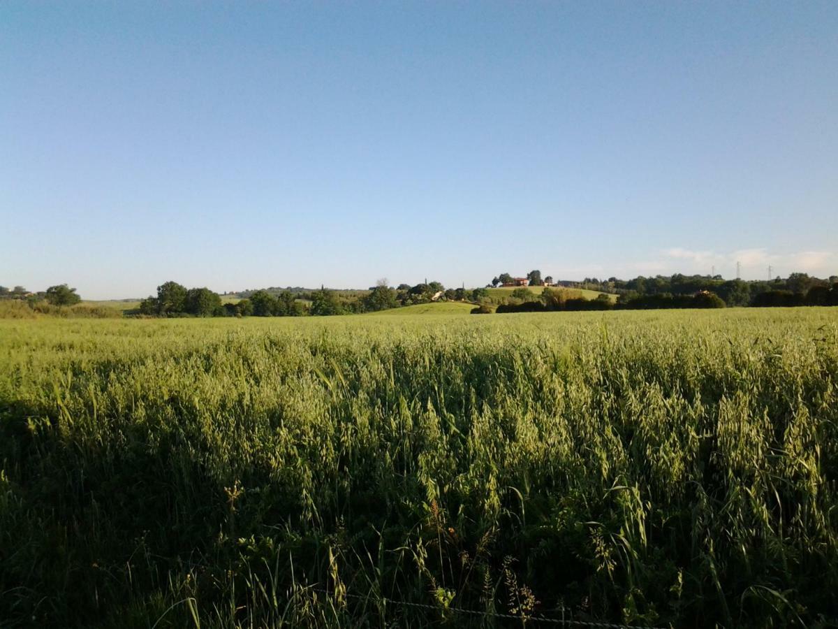 Agriturismo Piana Arborello Magliano in Toscana Ngoại thất bức ảnh